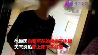 毛妈邻居爆料视频在线观看,揭秘惊人真相，在线观看引热议